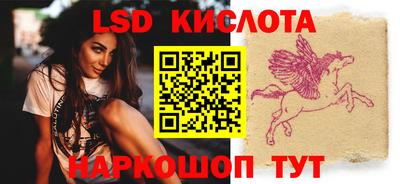 гидра Будённовск