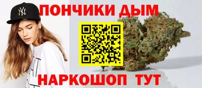 гидра Будённовск