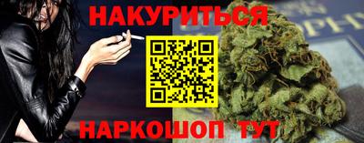 гидра Будённовск