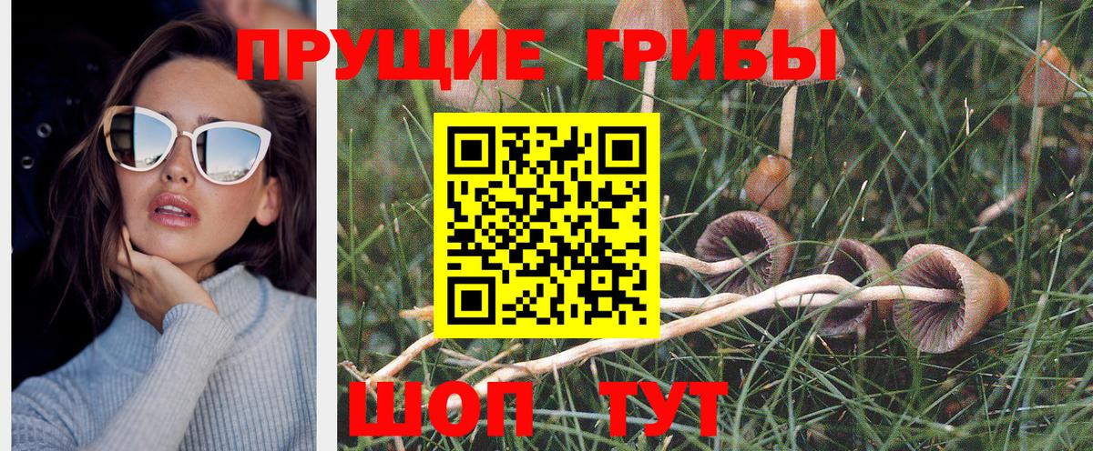 Псилоцибиновые грибы прущие грибы Подольск
