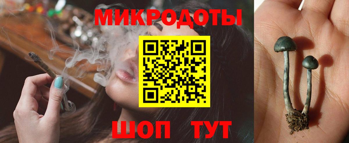 Подольск  Галлюциногенные грибы GOLDEN TEACHER  Вход с VPN 